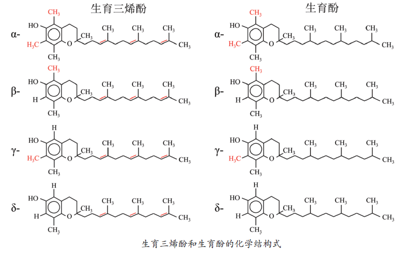 皮膚,抗氧化系統(tǒng),抗氧化劑,化妝品