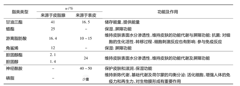 功效評價,新指標,皮膚表面,脂質(zhì)分析