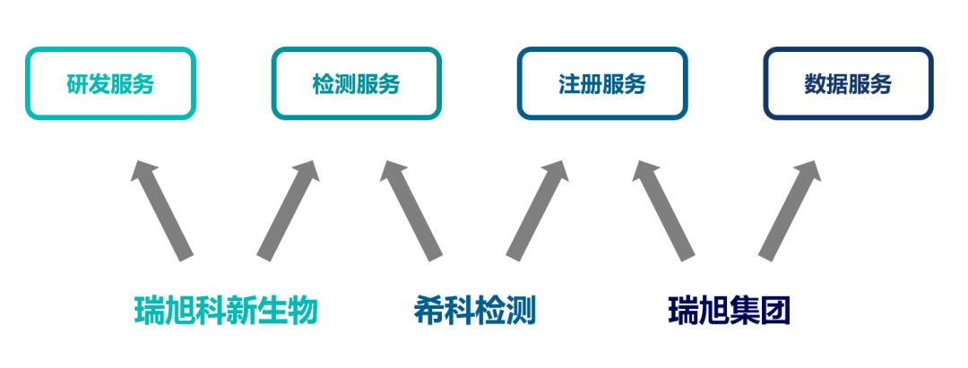 瑞旭科新生物,化妝品功效,日化品,瑞旭集團(tuán),希科檢測(cè),注冊(cè)備案